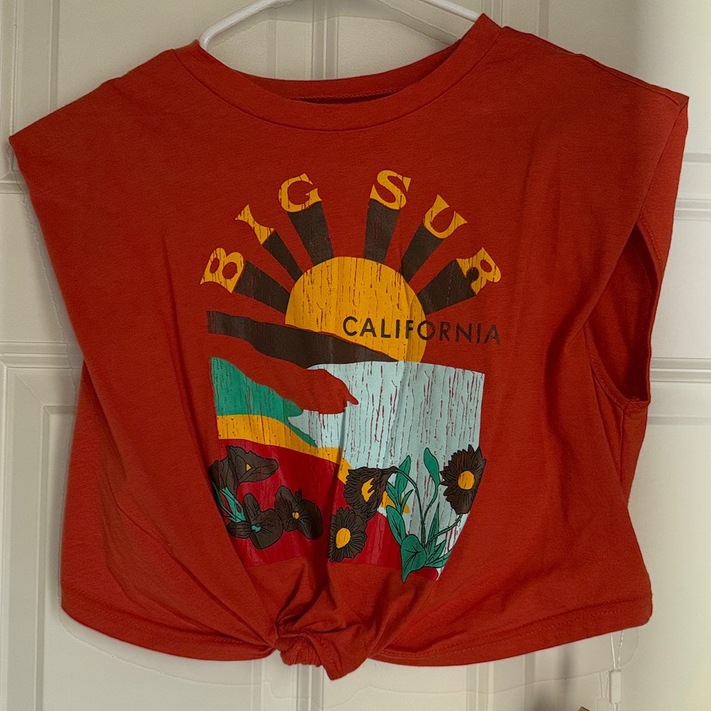 Micas Big Sur 🧡 Graphic Crop Top